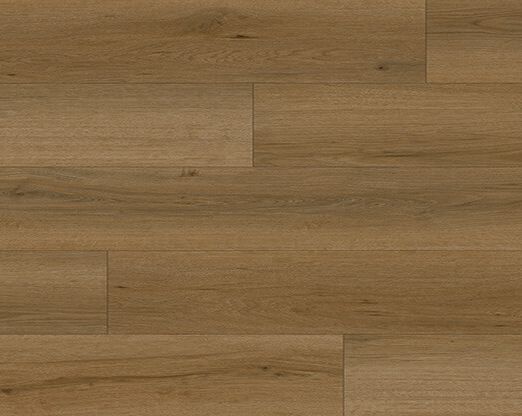 EC623 Paradise Canyon