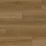 EC623 Paradise Canyon