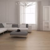 22J19 European Walnut