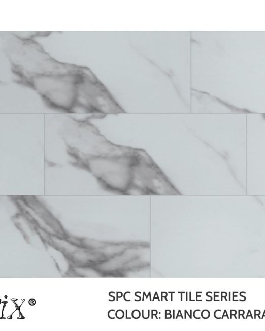 72930-Bianco-Carrara-Top-view