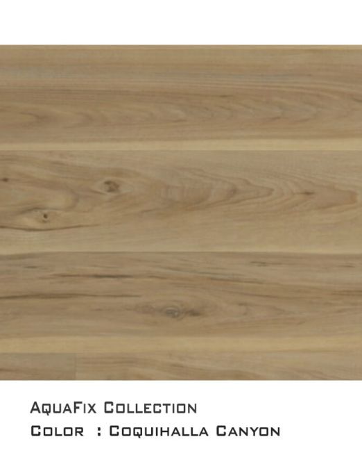 Coquihalla-Canyon_V2-Top-View