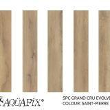 EC28931 Saint-Pierre