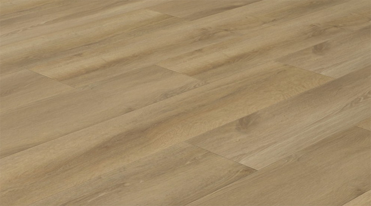 Product Code:
EC28934


Dimension:
9” x 71” x 5/16