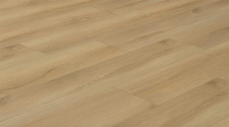 Product Code:
EC28936


Dimension:
9” x 71” x 5/16