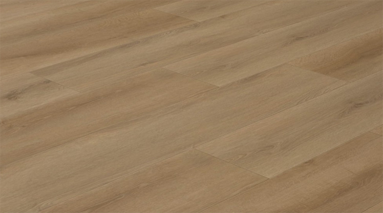 Product Code:
EC28940


Dimension:
9” x 71” x 5/16