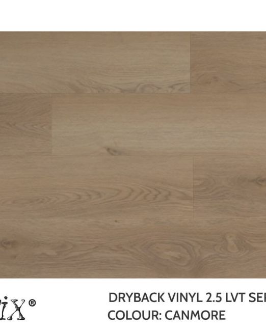 EC645-Canmore-Top-view-Template-2025