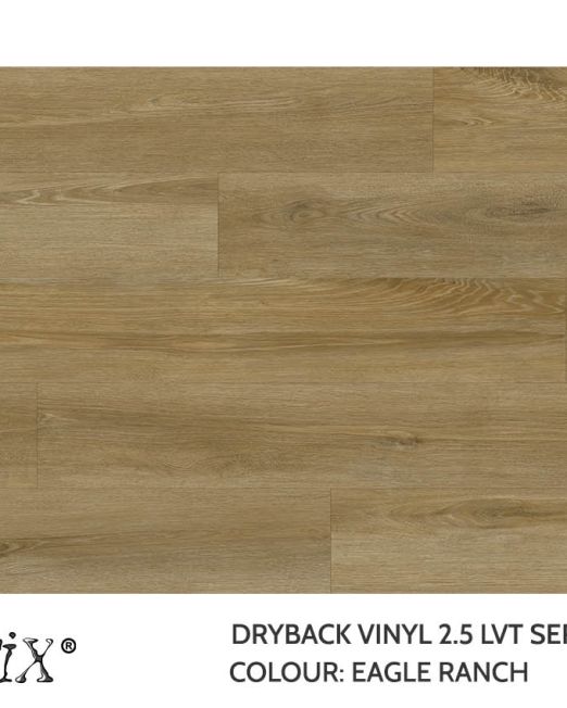 EC647 Eagle Ranch Top view Template 2026