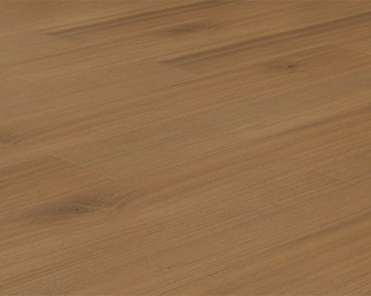 EC8269 Shannon Falls