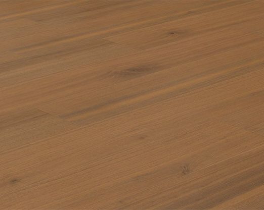 EC8270 Brandywine Falls