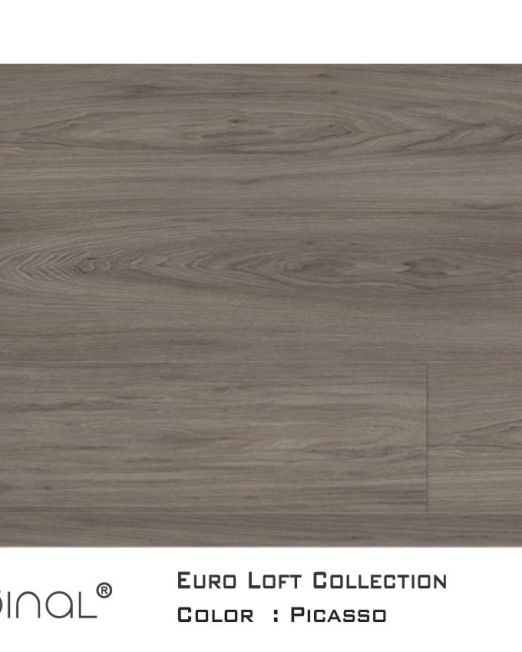 Euro-Loft-top-view-Picasso