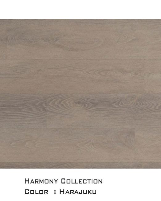 Harmony-top-view-for-web-Harajuku