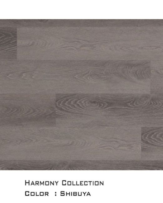 Harmony-top-view-for-web-Shibuya