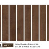 MT2217 Maple, Macchiato