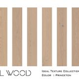 MT2225 Oak, Princeton