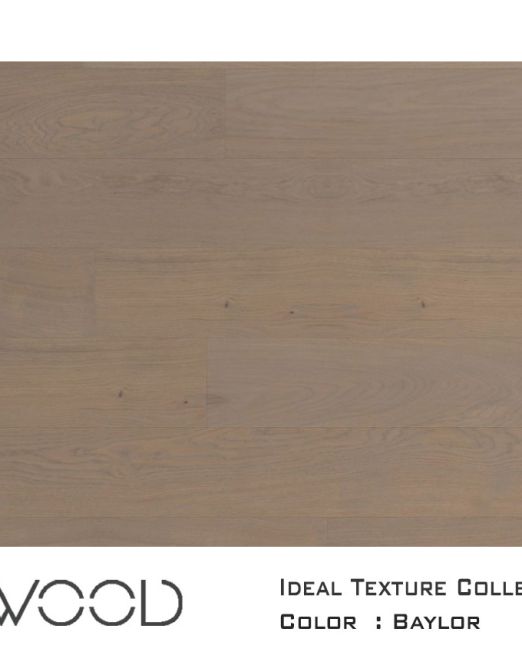 Ideal-Texture-2020-top-view-for-web-Baylor