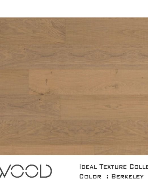 Ideal-Texture-2020-top-view-for-web-Berkeley