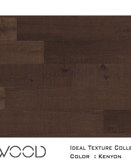 Ideal-Texture-2020-top-view-for-web-Kenyon