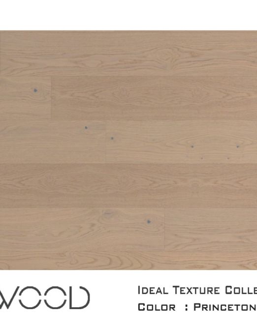 Ideal-Texture-2020-top-view-for-web-Princeton