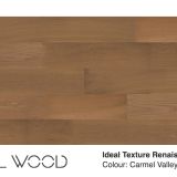 MT3395 Carmel Valley