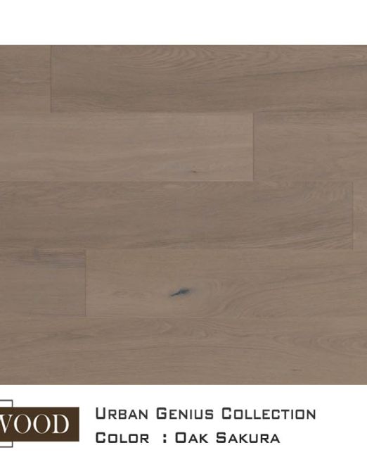 UG-top-view-22J06-Sakura