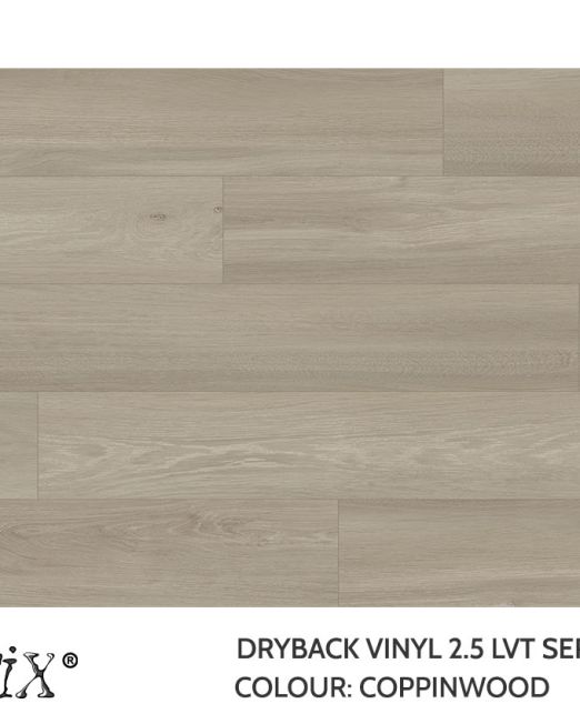 EC631 Coppinwood Top view Template 2026