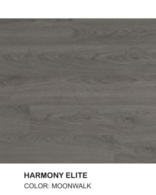 925 Moonwalk Top View-Harmony Elite