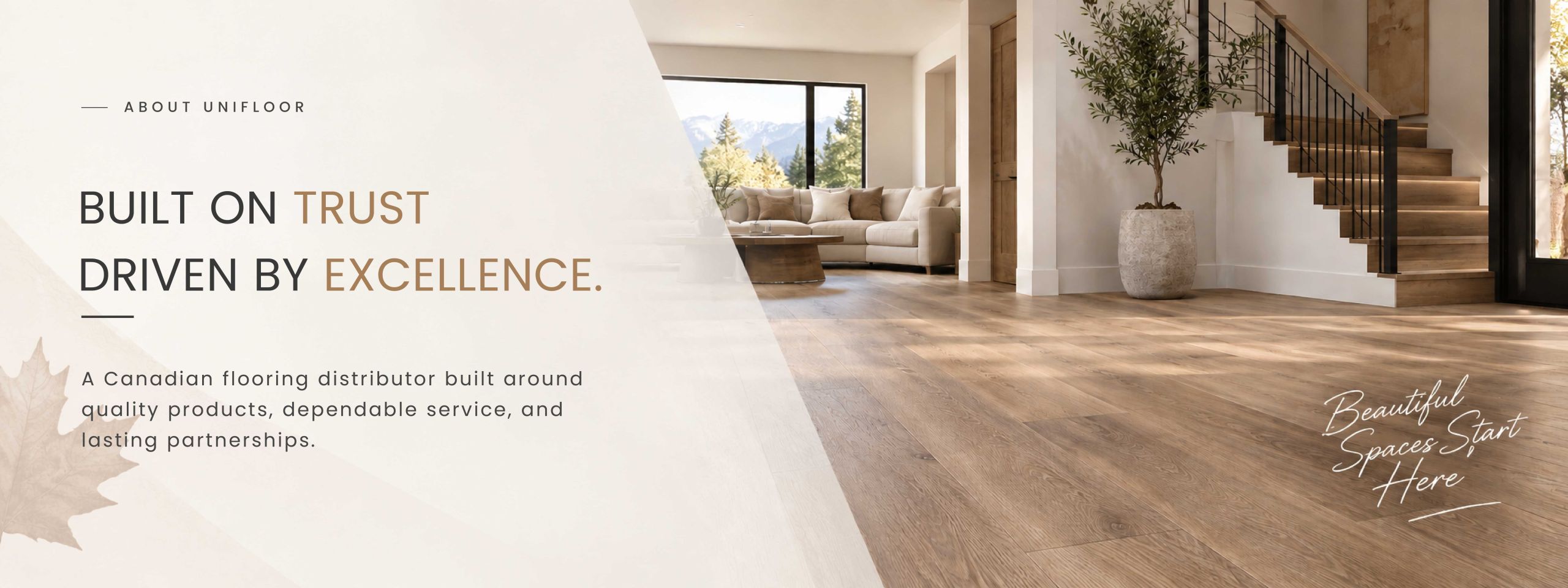 About Us Web Banner 2